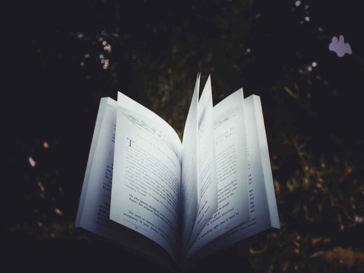 10 Things ‘Incandescent Alphabets’ taught me about&nbsp;psychosis