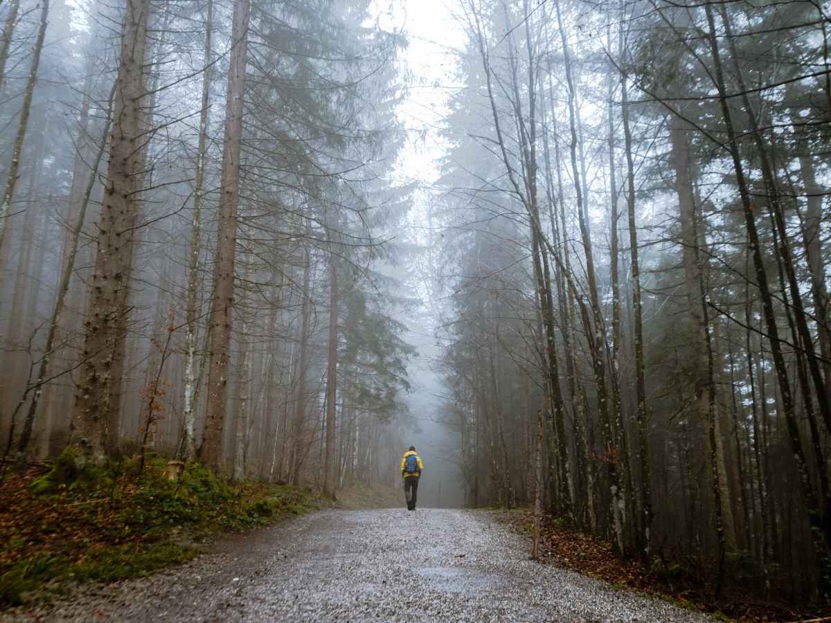 Fear the change or embrace the&nbsp;opportunity